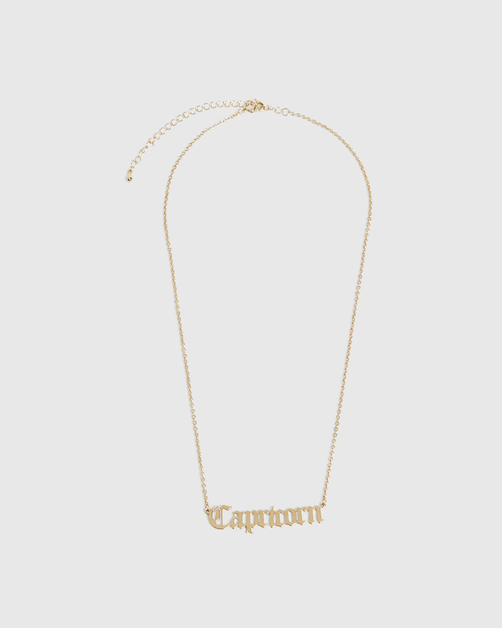 14k  Capricorn Star Sign Necklace - Image 2