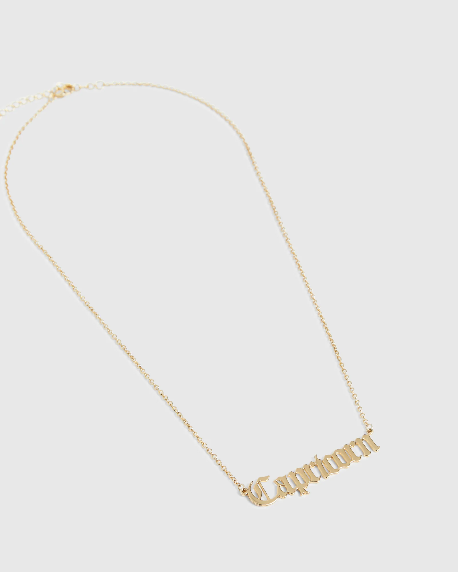14k  Capricorn Star Sign Necklace - Image 3