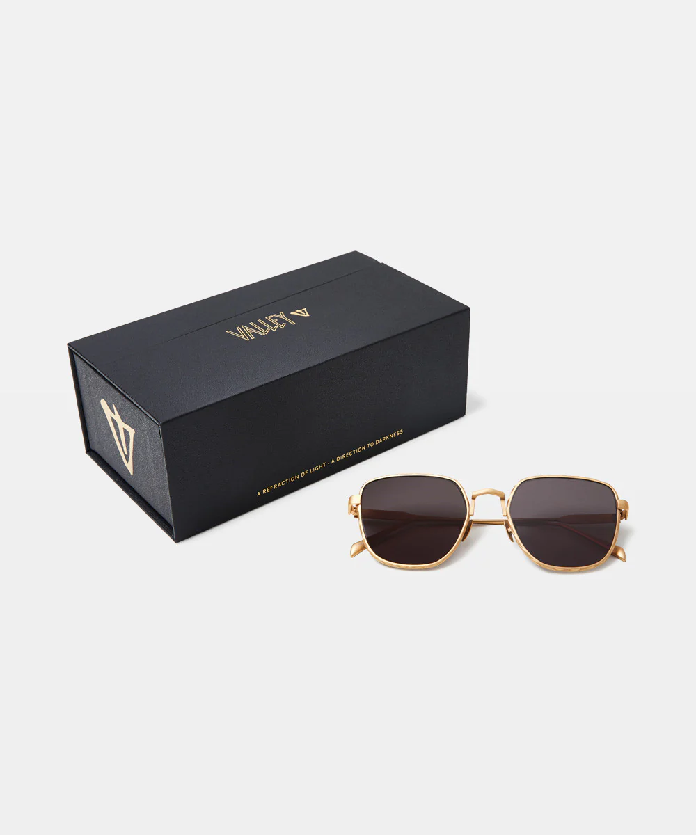 Dotan Sunglasses Brushed Gold - Image 6