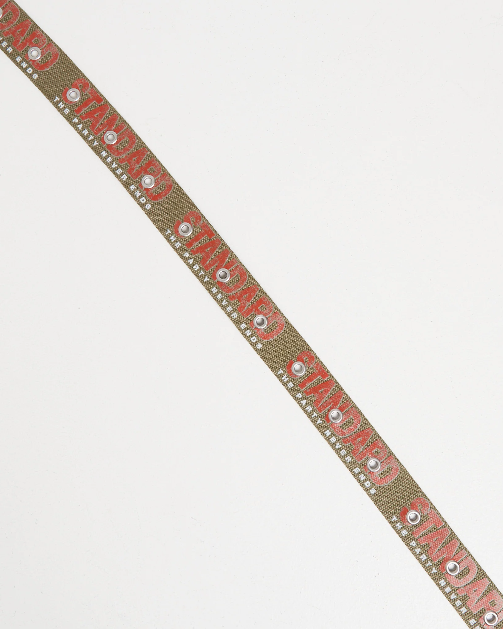 Endless Belt - Image 3