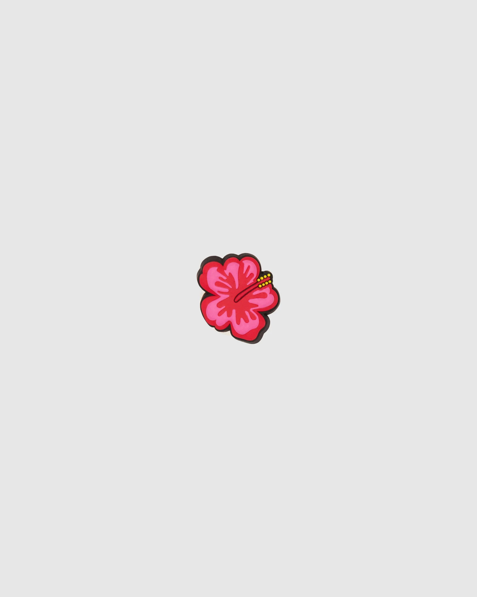 Hibiscus Jibbit - Image 2