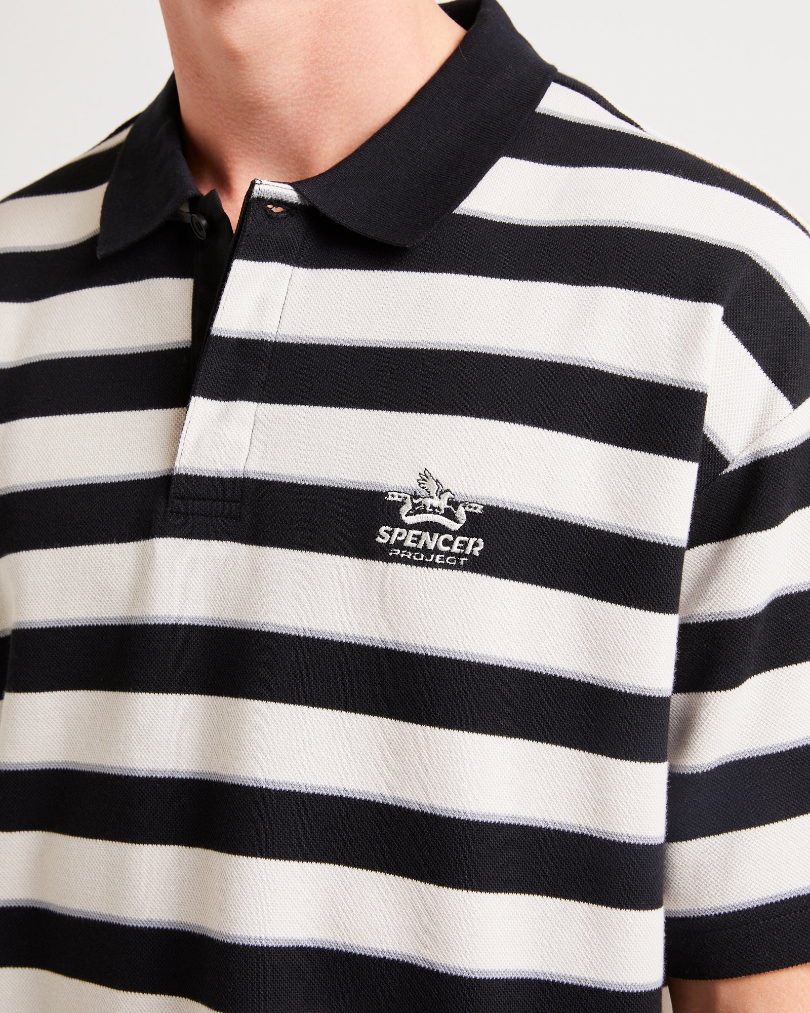 Project Polo - Image 5