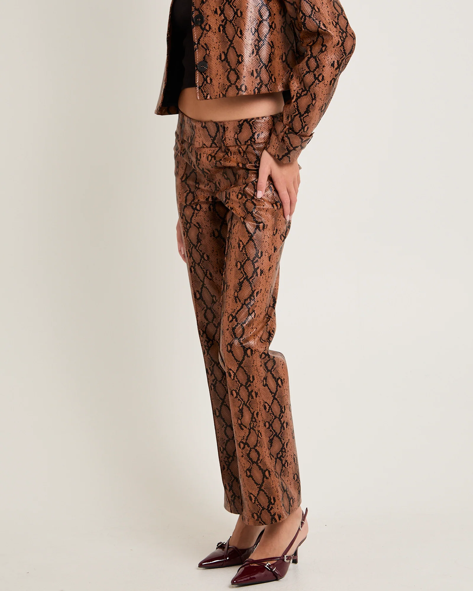 Stassy Snake Faux Leather Pants - Image 4