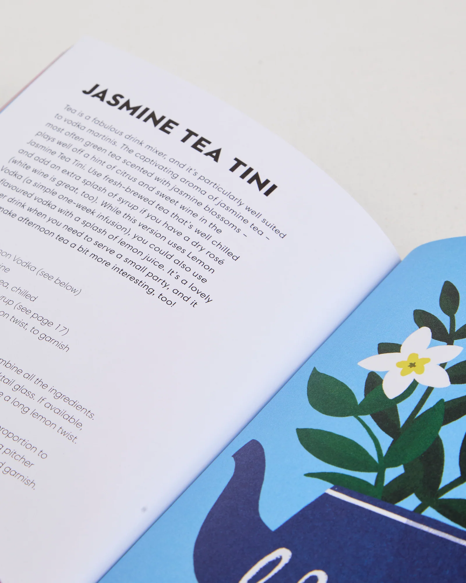 Vodka Made Me Do It Book - Image 3