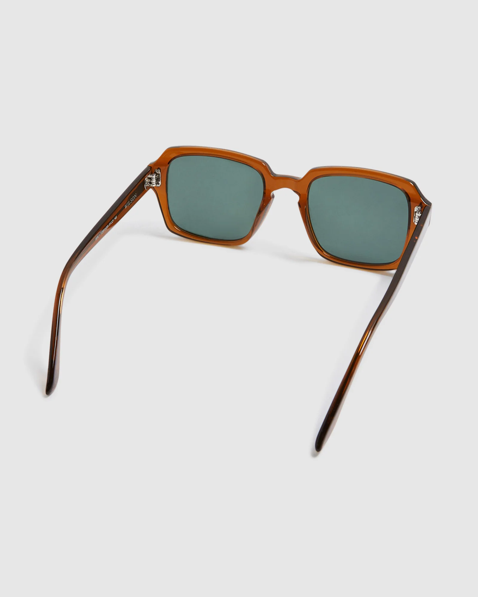 Wilson Sunglasses Polished Tobacco - Image 3
